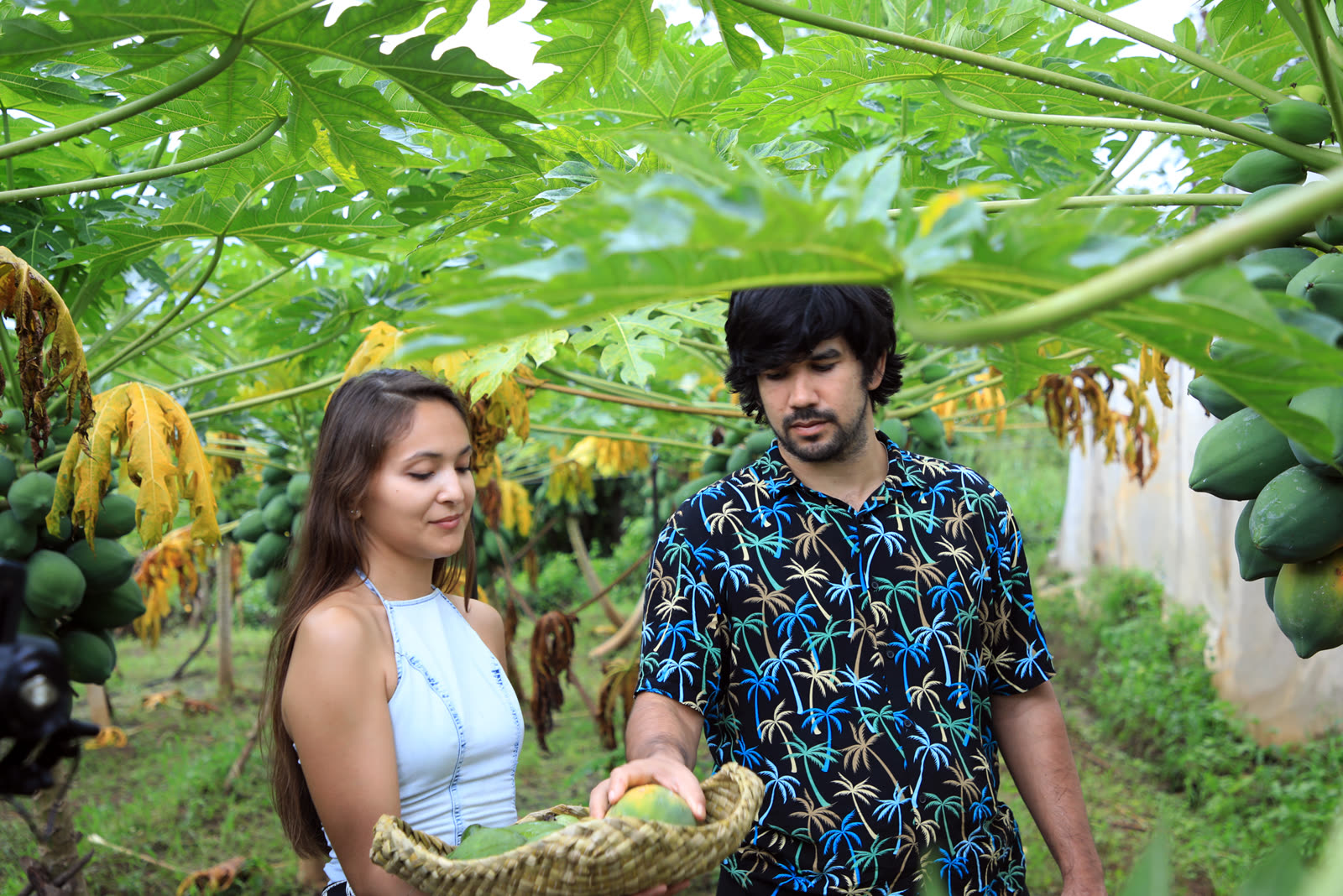 Authentic Sri Lankan village life experience
