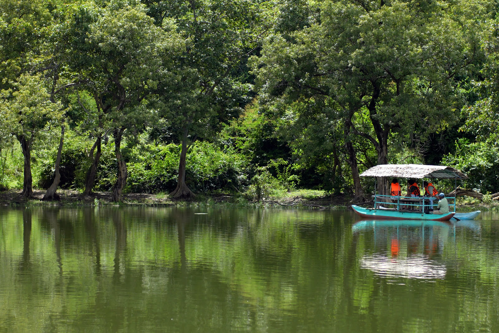 Randenigala forest and wildlife drive