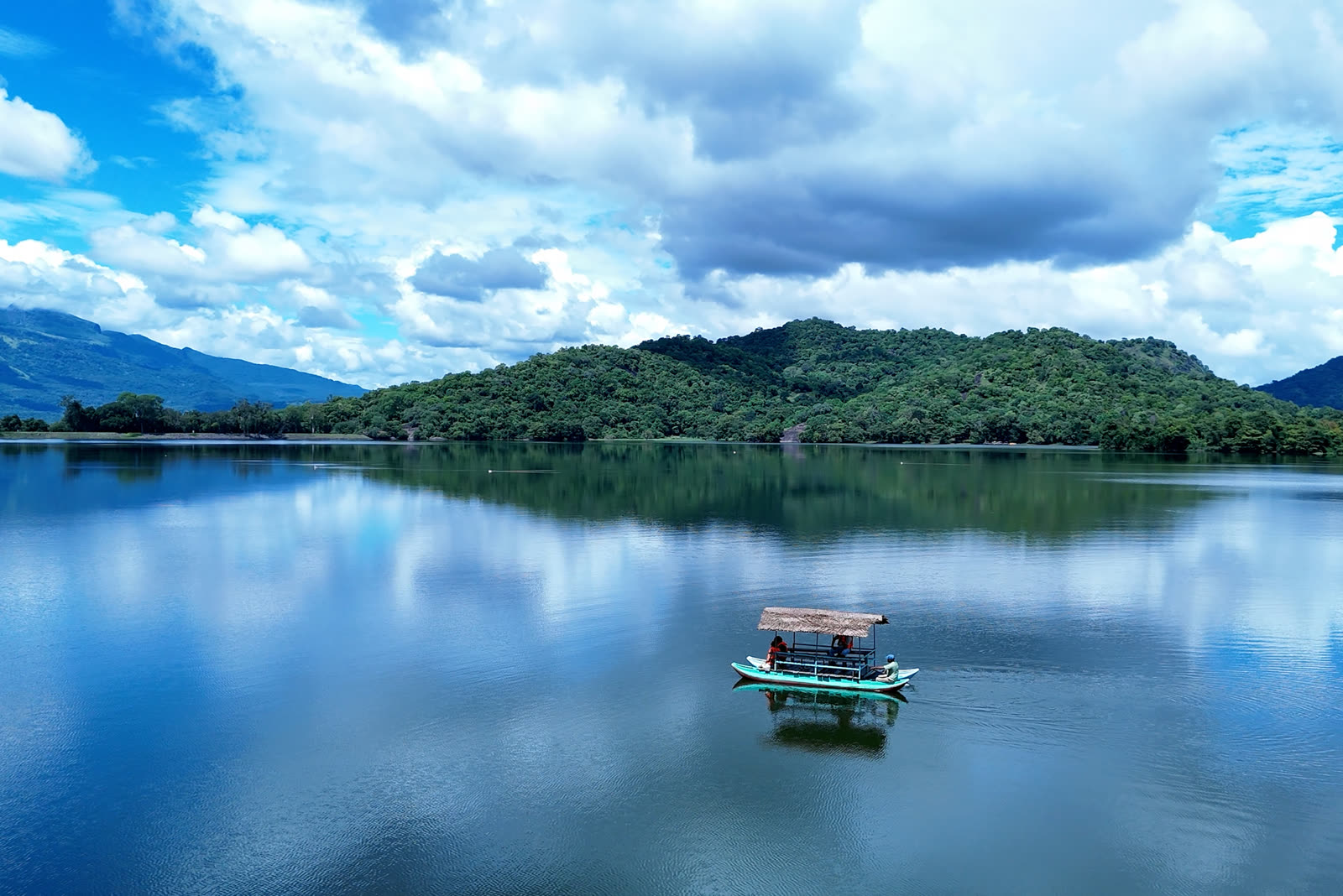 Nature — forests, dams and reservoirs
